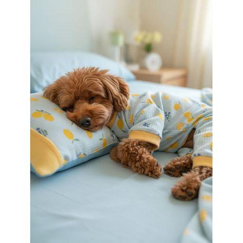 Pineapple Summer Penye Köpek Uyku Takımı | Küçük Irklar İçin | Ananas Desenli | Tüy Dökülmesini Azaltır