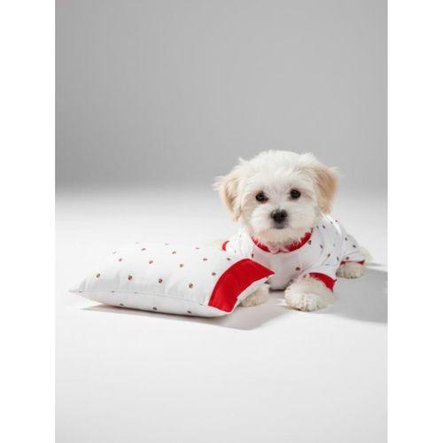 Berry Köpek Uyku Takımı | Pamuklu Penye Köpek Tulumu ve Mini Yastık | Küçük Irklar İçin | Tüy Dökülmesini Azaltır