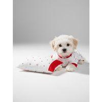 Berry Köpek Uyku Takımı | Pamuklu Penye Köpek Tulumu ve Mini Yastık | Küçük Irklar İçin | Tüy Dökülmesini Azaltır