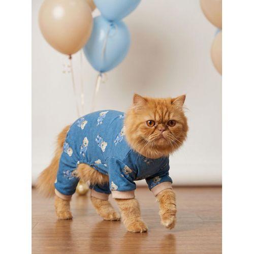 Teddy Blues Penye Kedi Tulumu | Ayıcık Desenli Kedi Pijaması | Küçük Irklar İçin