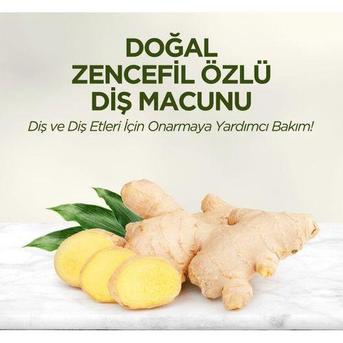 Eyüp Sabri Tuncer Eyüp Sabri Tuncer Doğal Diş Macunu 90gr Zencefil Özlü