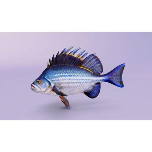 Horoz Balığı (Bu ürün Sadece Plastik parçadır - Almadan Önce Soru Sorabilirsiniz)