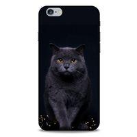 Lopard Apple Iphone 6 Plus Uyumlu Kılıf Kediler (47) Crystal Flex Kılıf Scottish Fold
