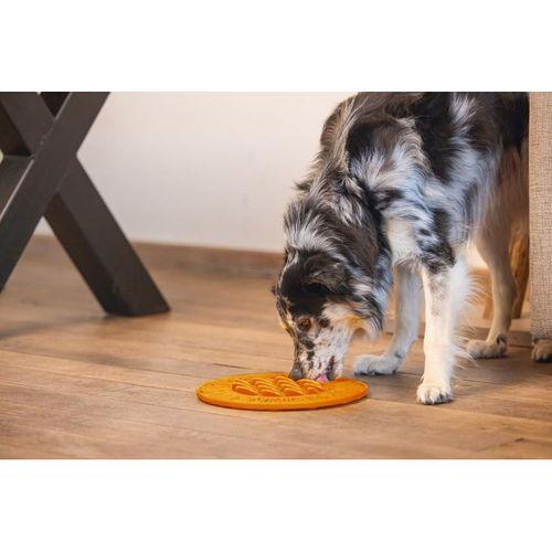 Beeztees Yavru Köpek Mama Yeme Oyuncağı, Daire Şeklinde, Silikon, Turuncu, 30cm