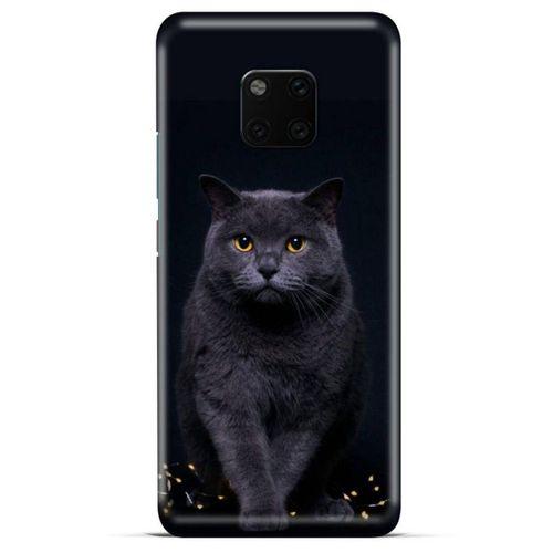 Lopard General Mobile GM 20 Pro Uyumlu Kılıf Kediler (47) Crystal Flex Kılıf Scottish Fold