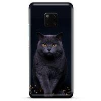 Lopard General Mobile GM 20 Pro Uyumlu Kılıf Kediler (47) Crystal Flex Kılıf Scottish Fold