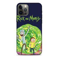 Apple iPhone 12 Pro Uyumlu Kılıf Rick And Morty (7) Telefon Kılıfı Summer Smith