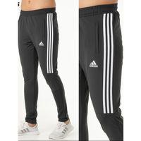 Adidas ED-2795 Erkek Polyester Eşofman Altı