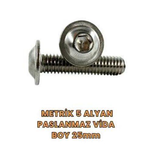 Metrik 5 Alyan Paslanmaz Vida Boy 25mm 25'Lİ Paket