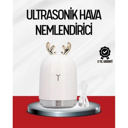 El Tipi Usb Mini Soğuk Mist Nemlendirici 220 ml Tank