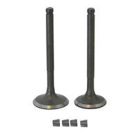 HONDA HONDA PCX 150 DYLAN SİBOP DQ 24-29-80-79-5 mm