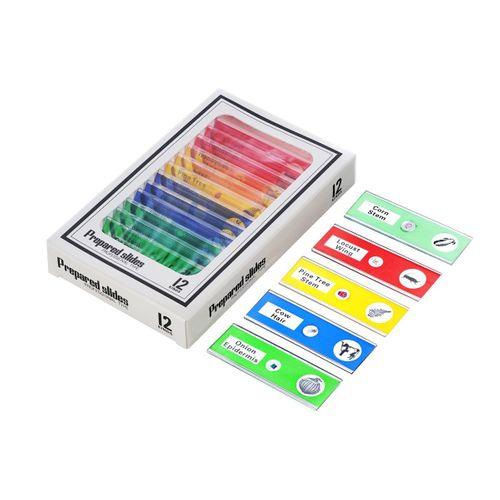 Levenhuk Rainbow DM500 LCD Dijital Mikroskop