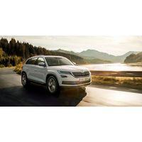 Skoda Karoq Uyumlu Yan Basamak 2018 -