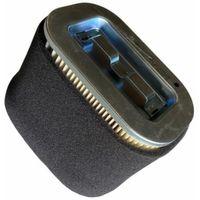 TVS Tvs Hava Filtre Elemanı Ntorq 125