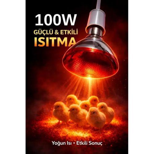 100w Isıtıcı Ampul Kırmızı Isı Lambası Civciv Kümes Kuluçka E27 Duy Isıtma Ampulü