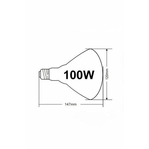 100w Isıtıcı Ampul Kırmızı Isı Lambası Civciv Kümes Kuluçka E27 Duy Isıtma Ampulü