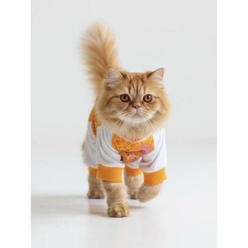 Never Give Up Penye Kedi Tulum Pijama