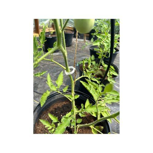 Bitki Klipsi – 3D Baskı Bahçe Aksesuarı (Bu ürün Sadece Plastik parçadır - Almadan Önce Soru Sorabilirsiniz)