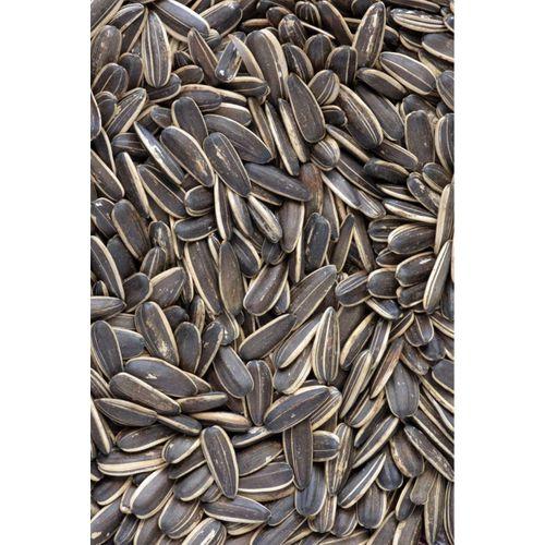 Ayçekirdeği 2x 500 g 2’li Set 1 KG