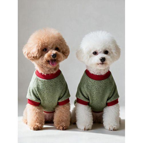 Çilek Tadında Köpek Sweatshirt – Kırmızı Yeşil - Sıcacık