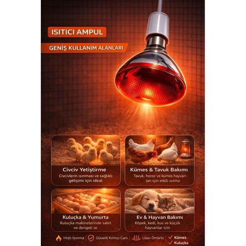 150w Isıtıcı Ampul Kırmızı Isı Lambası Civciv Kümes Kuluçka E27 Duy Isıtma Ampulü