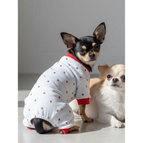 Berry Köpek Tulumu | Pamuklu Penye Köpek Pijaması | Küçük Irklar İçin | Tüy Dökülmesini Azaltır