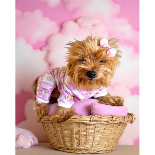 Teddy Toad Penye Köpek Tulum Pijama