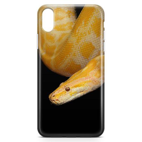 Apple iPhone XR Kılıf Zehir Arka Kapak Koruma Desenli Full Koruyucu
