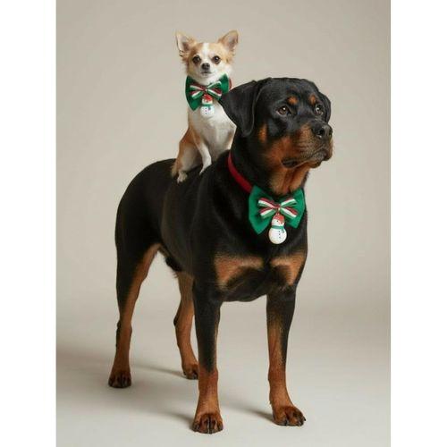 Kardan Adam Küçük Irk Köpek Papyon Tasması | Kırmızı Fiyonk Boyun Aksesuarı | Noel Temalı Köpek Süsü