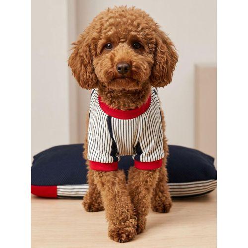 Yacht Club Marin Çizgili Köpek Uyku Takımı | Lacivert Kırmızı Pamuklu Köpek Tulumu ve Mini Yastık | Küçük Irklar İçin