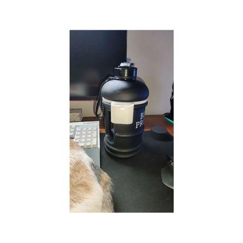 Airpod Tutucu Su Şişesi (Bu ürün Sadece Plastik parçadır - Almadan Önce Soru Sorabilirsiniz)