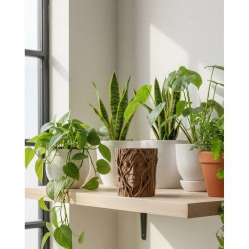 3d Ağaç Gövdesi Formlu Yüz Figürlü Dekoratif Saksı Sanatsal Tasarım Vazo