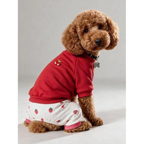 Tatlı Çilek Duo – Çilekli Köpek Tulum & Sweat Kombini