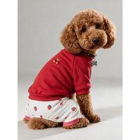 Tatlı Çilek Duo – Çilekli Köpek Tulum & Sweat Kombini