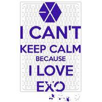 Exo i Cant Keep Calm Puzzle 240 Parça Yapboz