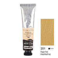 Bigpoint Yağlı Boya 45 ml Flesh Tint 201