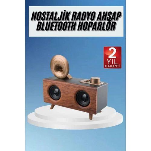 Gramafon Radyo Bluetooth Hoparlör Nostaljik Radyo Fm Radyo