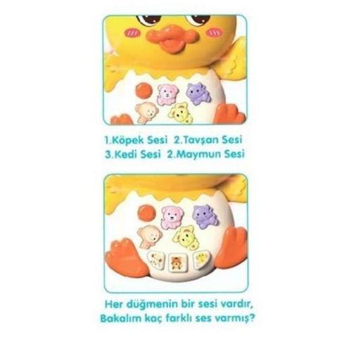 855-144A - ÖRDEK ORG IŞIKLI SESLİ