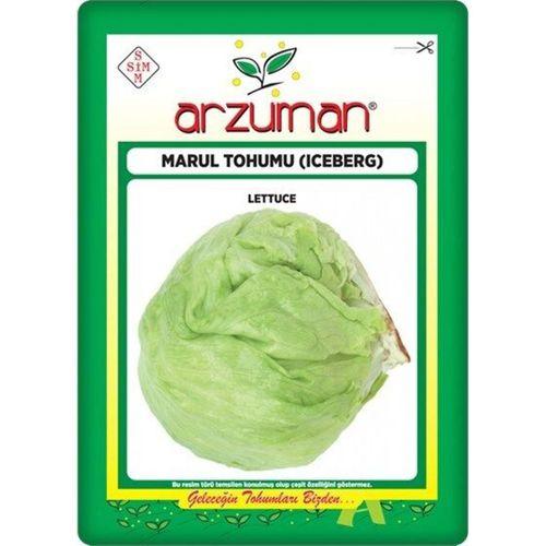 Iceberg Marul Tohumu (5 Gr) Göbekli Marul