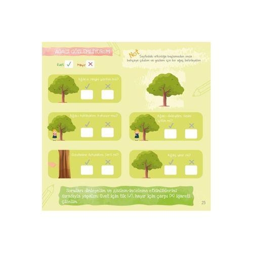 Ağaç Nasıl Oluşur - Oluşum Hikâyeleri - Okul Öncesi Kitabı