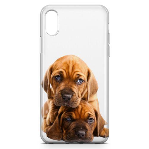 Apple iPhone XS Kılıf Amstaff Dachshund Arka Kapak Koruma Desenli Full Koruyucu