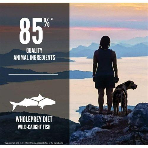 Orijen 6 Six Fish Tahılsız Balıklı Yetişkin Köpek Maması 2 Kg