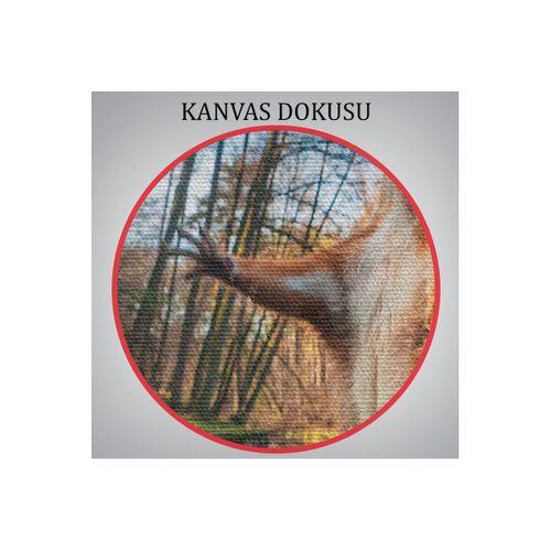 Sincap Dekoratif Kanvas Tablo 1178
