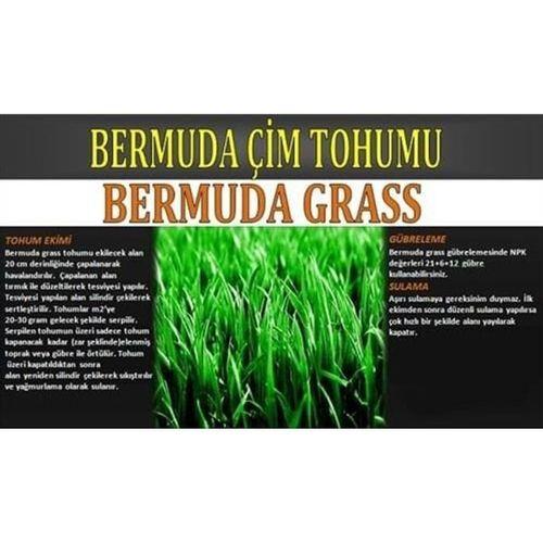 Bermuda Çimi (Ayrık Otu)Tohumu 1 kg