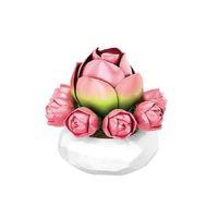 P655059 ZAMBAK SUKULENT MODEL 41 PARÇA BLOCK OYUNCAK