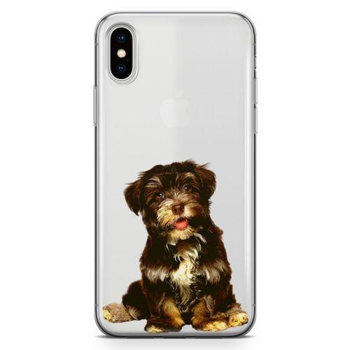 Apple iPhone XS Max Kılıf Havanese Puppy Arka Kapak Koruma Desenli Full Koruyucu