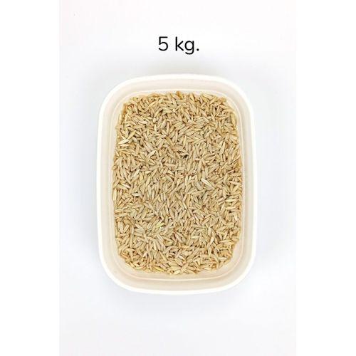 Tüm Kuşlar İçin Doğal Taze Soyulmuş İç Yulaf - 5 kg