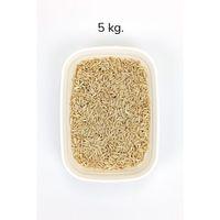 Tüm Kuşlar İçin Doğal Taze Soyulmuş İç Yulaf - 5 kg