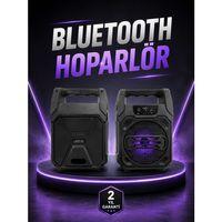 6 5 İnç Kablosuz Hoparlör Bluetooth Bağlantılı Yüksek Ses