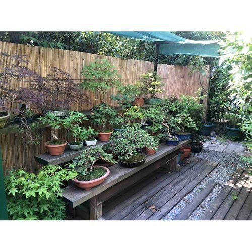 özgazi 1,50 Metre X 5 Metre Kamış Hasır Bahçe Çiti Gölgelik Balkon Çiti